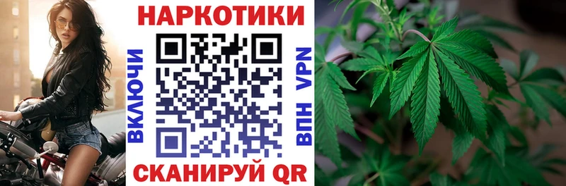 Магазины продажи наркотиков Георгиевск Марихуана  A PVP  Гашиш  МЕФ 