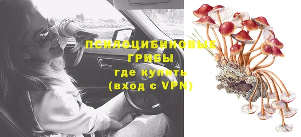 прущие грибы Верея