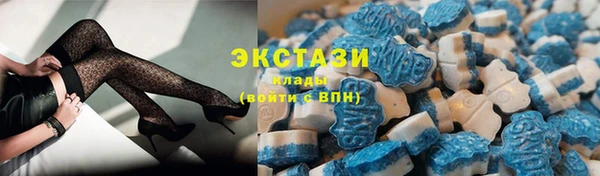 прущие грибы Верея