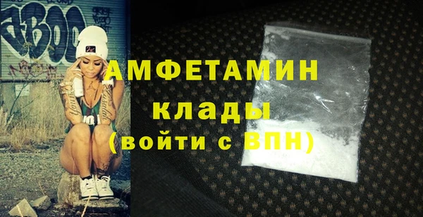 прущие грибы Верея