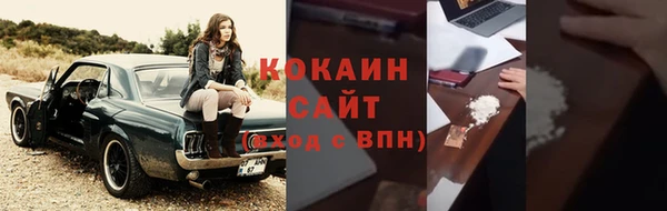 прущие грибы Верея