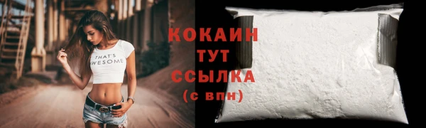 мдпв Володарск
