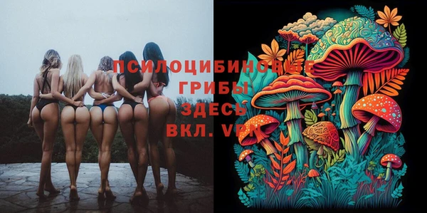 прущая мука Верхний Тагил