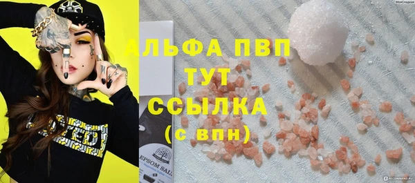 прущие грибы Верея