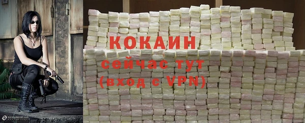 мдпв Володарск