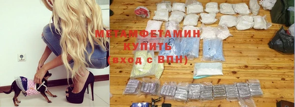 прущие грибы Верея