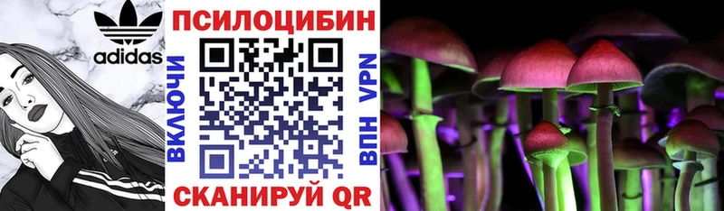 Галлюциногенные грибы мицелий  Георгиевск 